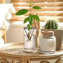 Hydroponic Avocado Planting Set Glass