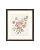 Pastel Peaches