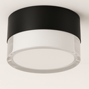 Ian Downlight
