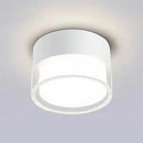 Ian Downlight