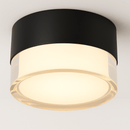 Ian Downlight