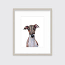 The Iggy - Open Edition Paper Print