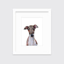 The Iggy - Open Edition Paper Print