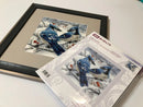 Blue Jays R1925 Counted Cross Stitch Kit