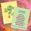 Healing Plants: Herbal Teas for Vitality, 52 Flashcards