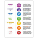 7 Chakras sage bundle | Floral sage