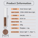 Motion Sensor Battery Light