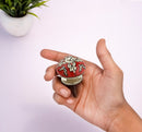 Mascot Hardware Leaf On Red 1-3/5 in. (40mm) White & Red Drawer Cabinet Knob