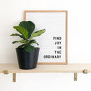 Brass Shelf Bracket for Wall Shelves