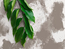 Abstract Wallpaper with a Painterly Effect in Taupe and White - X115
