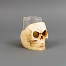 Halloween Skull Shot Glasses