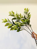 Artificial Bay Leaf  Stems - Bundle of 4