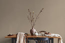 Solid Color Wallpaper Featuring an Earthy Hue in Grullo Gray - D422