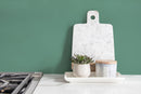 Solid Color Wallpaper in Muted Sage Green - D468