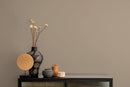 Solid Color Wallpaper Featuring an Earthy Hue in Grullo Gray - D422