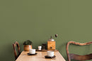 Solid Color Wallpaper in an Earthy Sage Green - D474
