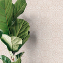 Damask Wallpaper with an Intricate Botanical Mandala Motif in Beige and White - X053
