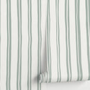 Modern Striped Wallpaper with Wavy Lines in Light Green and Off-White - D764