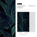 Tropical Wallpaper with Layered Banana Leaves in Dark Green and Black - B218