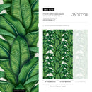 Tropical Wallpaper Featuring Lush Banana Leaves in Green - A256