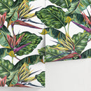 Tropical Wallpaper with Bird of Paradise Flowers in Green, Red, and Purple - A433