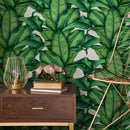 Tropical Wallpaper Featuring Lush Banana Leaves in Green - A256