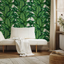 Tropical Wallpaper Featuring Lush Banana Leaves in Green - A256