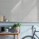 Geometric Wallpaper with a Repeating Starburst Motif in Black and White - B252