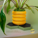 Water Humidity Tray for Houseplants, Includes Pebbles