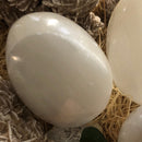 Satin spar egg- Selenite crystal| Aura cleansing