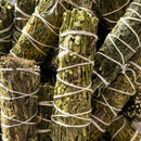 Ruda Rue Smudge Stick - Fresh