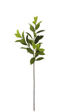 Artificial Bay Leaf  Stems - Bundle of 4