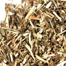 Wildcrafted Motherwort Herb