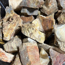 Petrified Wood Rough Stone