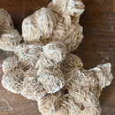 Desert sand rose cluster - XXL