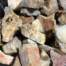 Petrified Wood Rough Stone