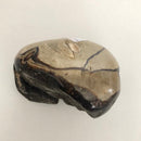 Septarian Dragon egg