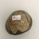 Septarian Dragon egg
