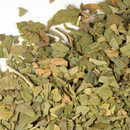 Ginkgo Biloba - Organic