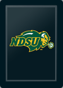 North Dakota State Bison Primary Logo Panel