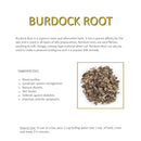 Burdock Root