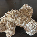 Desert sand rose cluster - XXL