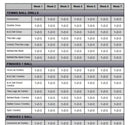 Extreme Full-Court Dribbling Workout