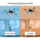 Industrial black ceiling fan with clear blades – living room led light