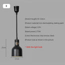 Industrial black matte electric food heating pendant light kitchen