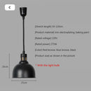 Industrial black matte electric food heating pendant light kitchen
