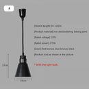 Industrial black matte electric food heating pendant light kitchen