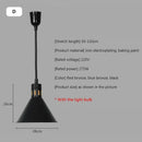 Industrial black matte electric food heating pendant light kitchen