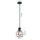 Industrial black metal cage pendant light kitchen decor