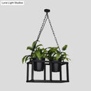 DecorBites™ Black Metal Industrial Rectangle Island Light Fixture - 2/3/5 Bulbs LED Lamp with Plant Decor